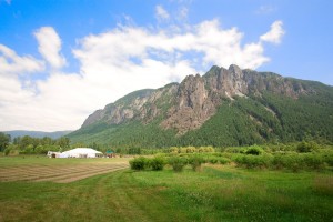 bybee-farms-wedding-01