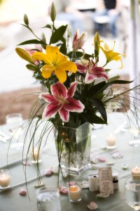 bybee-farms-wedding-18