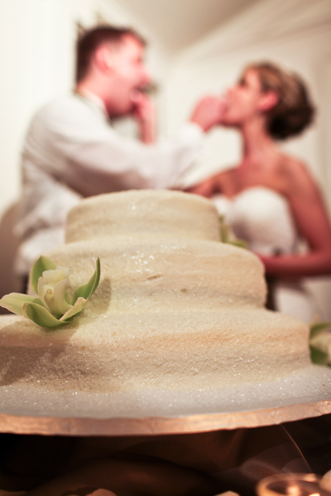 clise-mansion-wedding-25