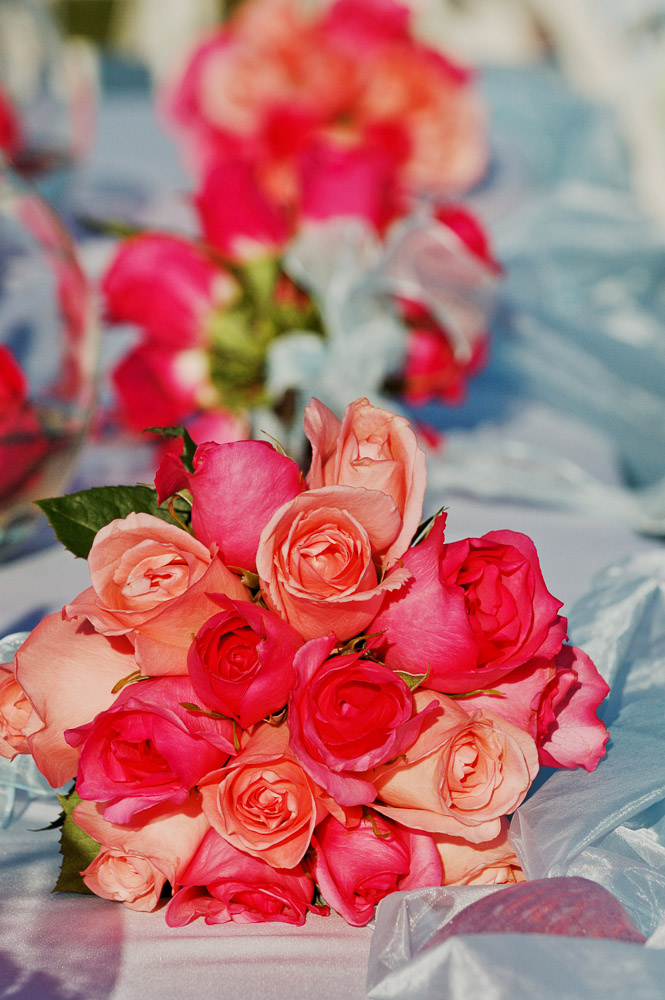 port-orchard-wedding-17